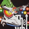 Pete Townsend 2007